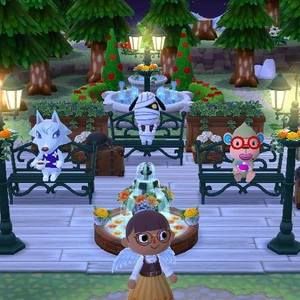 Meet your Posher, Dawn